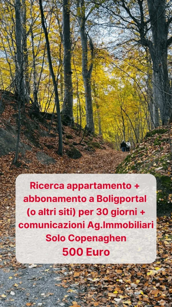 consulenza-ricerca-appartamento-copenhagen Consulenza: ricerca appartamento solo Copenhagen.