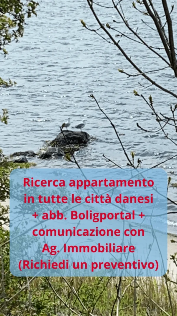consulenza-ricerca-appartamento-tutte-le-citta Ricerca appartamento in tutte le città danesi (chiedi un preventivo)